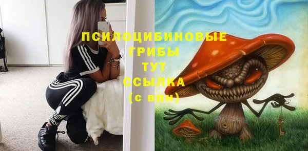 гидра Алексин