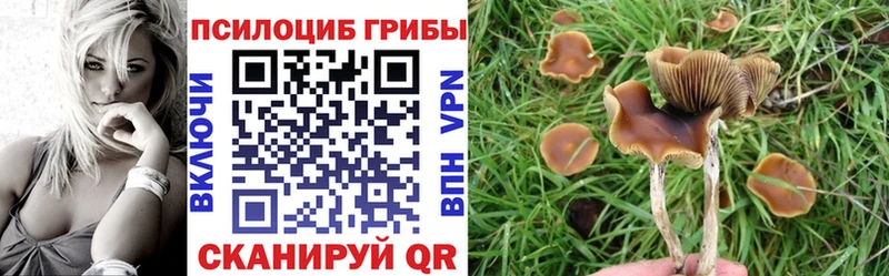 Псилоцибиновые грибы прущие грибы  blacksprut   Арзамас 