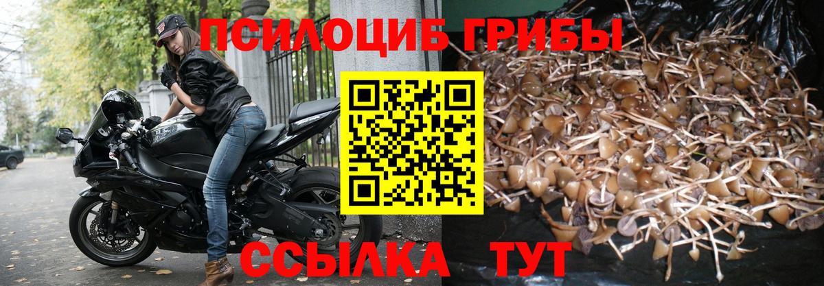 Псилоцибиновые грибы MAGIC MUSHROOMS Арзамас